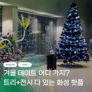 우림경로당(남양9) | 크리스마스 트리가 있는 화성 남양 카페 데이트코스 '섹션' 설산 디저트 후기