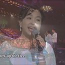8월 1일 토요일(음6.19) One summer night-진추하,하비 이미지