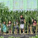 이음초등학교 앞 이미지