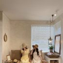 카멜스테이 이미지