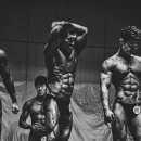 엠프로짐 이미지