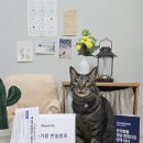 종합 | [페노비스]펫영양종합검사 후기