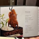 오향11리(드림타워A) | [세종] 세종중국집 차이킹&amp;북경오리 5가지 매력