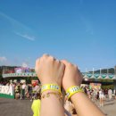 와이드어웨이크 | edc코리아 올 해 처음 열린 edm페스티벌 후기!