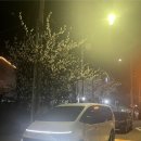 봉곡동326 | 구미렌트카 스타리아 카니발 신형으로 이용해보세요