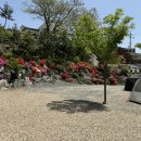 무심골 캠핑장 이미지