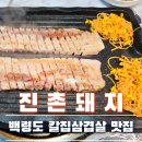 진촌돼지