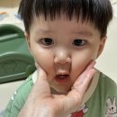 라쑤쑤 이미지