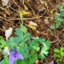 인보목장 이미지