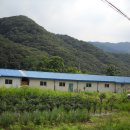 월문6리 이미지