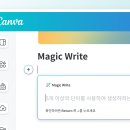 크리에이터 완전정복 티스토리