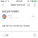 따리나 이미지