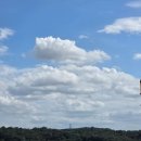 경기도 수원시 팔달구 경수대로496번길 | [1015-1031] 휴직과 제주도 그리고 가을야구 🍂