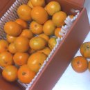 지운농장 이미지