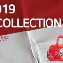 페르시안 캣 이미지