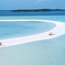 글로벌 트레이더 이미지