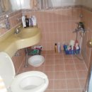 지장초등학교 이미지