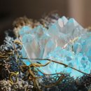 스칸디아모스아트(A) | 스칸디아모스 레진아트 크리스탈 수정 인테리어소품장식 건대 꽃이되다공방