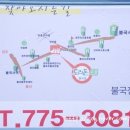 도리돈 Daum카페