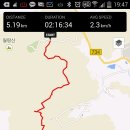 태청산 편백나무숲 트레킹길 이미지