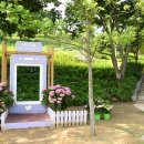다온숲 - 김포시 전원로 5 | 다온숲