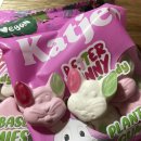 [CU편의점] 스웨덴젤리 저렴이 캇예스 베리버니 비건젤리 후기 및 구매 꿀팁🐰