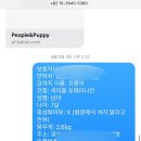 people puppy 이미지