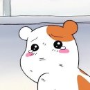 봉식당 - 평택시 | 봉식당