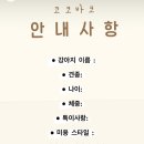 코코바코 이미지