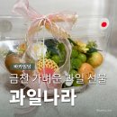 과일나라 앞 | 구로 금천 부모님 가벼운 선물 프룻백 만들기 과일나라