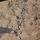 귀하도다 이미지