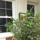 칠전서2길 이미지