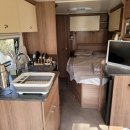 스테이위드독 이미지