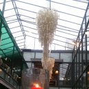 젠하이더웨이 이미지