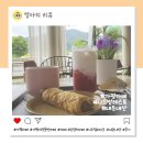 썸레스트 | 야외 정원 애견 동반 가능 가평카페 니드썸레스트 내돈내산 후기