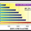 국관장체육관 이미지