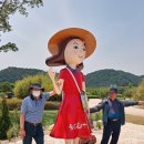 울산 태화강 십리대숲 티스토리