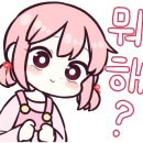 에쓰디 이미지