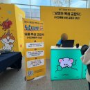 망고캣 | [2026 궁디팡팡 캣페스타 총정리⭐] | 대전 방문 후기부터 꿀팁까지 | 꼭 사야하는 추천템 | 궁팡 캣페스타