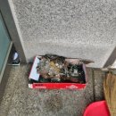 로얄아파트경로당 이미지