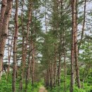 동굴민박 이미지