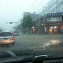 지금은 부 왘중.jpg 이미지