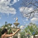 11620-25-3-3 이미지