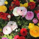 마음의 문 이미지