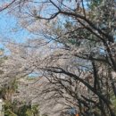 좌수영로4 이미지