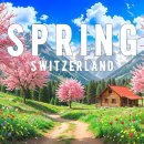 Springtime Wonders of Switzerland 🌸 Blooming Alps &amp; Crystal-Clear Lakes in 이미지