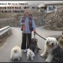 상신리코코네 이미지