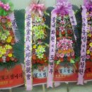 김명회 이미지