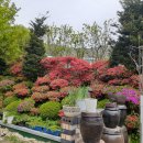 동상아람농장 이미지