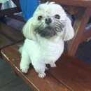 La TREE HOTEL(라 트리 호텔) | LA여행 (6) 샤이니 키 미주투어 간김에 사막여행 조슈아트리 국립공원 Day4